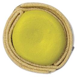 Beam Paints Watercolor Paintstone - Grasshopper top view