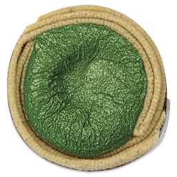 Beam Paints Watercolor Paintstone - Rainforest top view