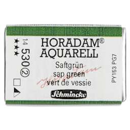 Schmincke Horadam Aquarell Watercolor - Sap Green, Full Pan