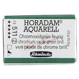 Schmincke Horadam Aquarell Watercolor - Chromium Oxide Green Brilliant, Full Pan