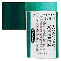 Schmincke Horadam Aquarell Watercolor - Chromium Oxide Green Brilliant, Full Pan and swatch