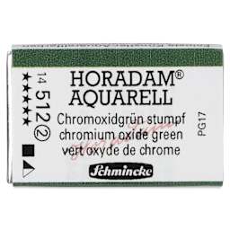 Schmincke Horadam Aquarell Watercolor - Chromium Oxide Green, Full Pan