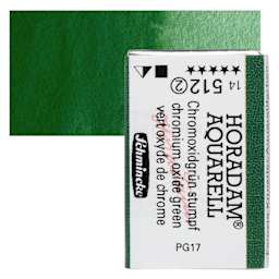 Schmincke Horadam Aquarell Watercolor - Chromium Oxide Green, Full Pan and swatch
