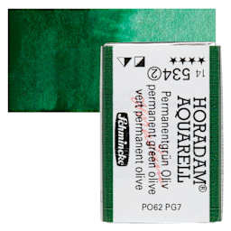 Schmincke Horadam Aquarell Watercolor - Permanent Green Olive, Full Pan and swatch