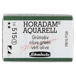 Schmincke Horadam Aquarell Watercolor - Olive Green, Full Pan