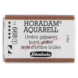 Schmincke Horadam Aquarell Watercolor - Burnt Umber, Full Pan