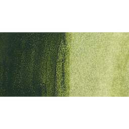Jackman's Finest Professional Watercolour - Rainforest Green Swatch