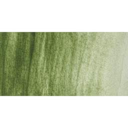 Jackman's Finest Professional Watercolour - Terre Verte Swatch