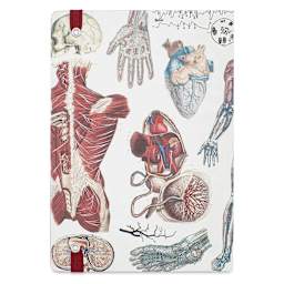 Cognitive Surplus Analysis Softcover Notebook - Anatomy, A5, back cover