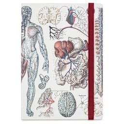 Cognitive Surplus Analysis Softcover Notebook - Anatomy, A5, front cover