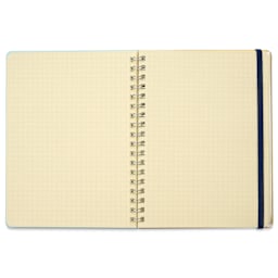 Delfonics Rollbahn Clear Plastic Notebook - 5-1/2" x 7", Blue
