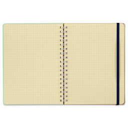 Delfonics Rollbahn Clear Plastic Notebook - 5-1/2" x 7", Green