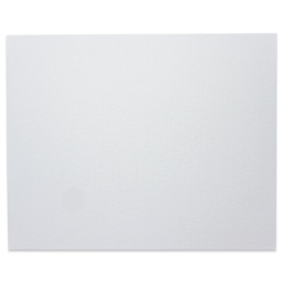 Winsor & Newton Professional Artists’ Canvas Board - 16" x 20" front