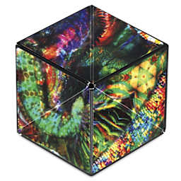 Shashibo Puzzle Toy - Chameleon, out of packaging