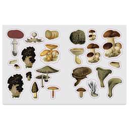 The Forest, Fairies, and Fungi Sticker Anthology, fungi
