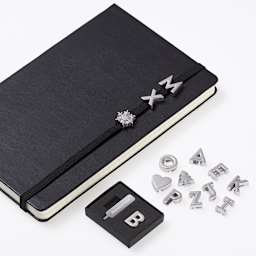 Moleskine Letter Series Notebook Pins, pins next to notebook