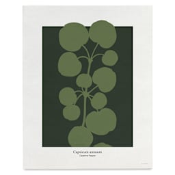 Roomytown Philipp Otto Runge Botancials Fine Art Giclee Print - Cayenne, 11" x 14"