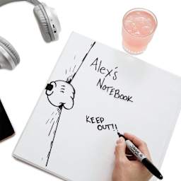 Sharpie Permanent Markers Fine and Ultra-Fine Variety Pack (being used on the cover of a 3-ring binder)