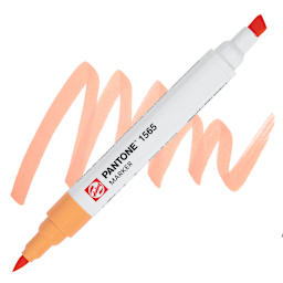 Pantone Dual Tip Marker - 1565, swatch and marker