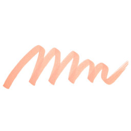 Pantone Dual Tip Marker - 1565, swatch only