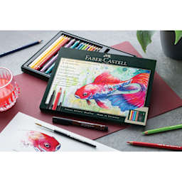 Faber-Castell Albrecht Dürer & Pitt Artist Pen Gift Set - Set of 21, open with mixed media sketch of a koi fish