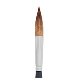 Princeton Aqua Elite Series 4850 Synthetic Brush - Prism, Size 8, Short Handle closeup