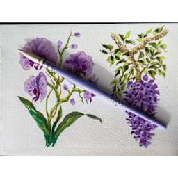 Da Vinci Pretty Lili Casaneo Synthetic Quill Brush - Size 2, resting on top of floral watercolor artwork.