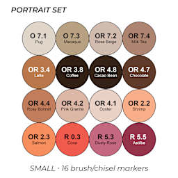Portrait Set. Small. 16 brush/chisel markers.