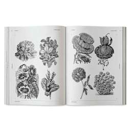 Vault Editions Flowers and Plants – An Image Archive for Artists and Designers, peony and other flowers