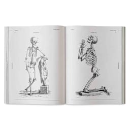 Vault Editions Skulls and Skeletons: An Image Archive for Artists and Designers, skeleton with animal skull