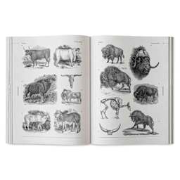 Vault Editions Animals: An Image Archive for Artists and Designers, bovines