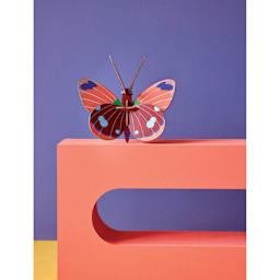 Studio Roof 3D Wall Decoration - Delias Butterfly, assembled piece on colorful surface