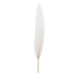 John Bead Duck Quill Feathers - White - single feather