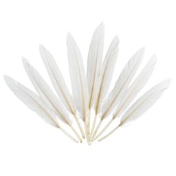 John Bead Duck Quill Feathers - White