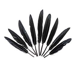 John Bead Duck Quill Feathers - Black