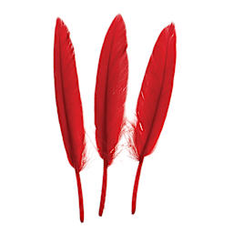 John Bead Duck Quill Feathers - Red - three feathers