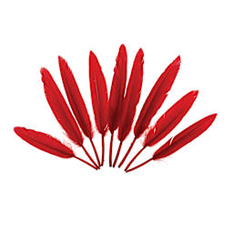 John Bead Duck Quill Feathers - Red
