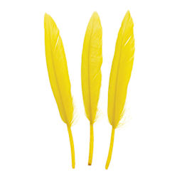 John Bead Duck Quill Feathers - Yellow - three feathers