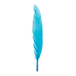 John Bead Duck Quill Feathers - Turquoise - single feather