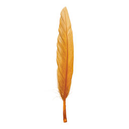 John Bead Duck Quill Feathers - Brown - single feather