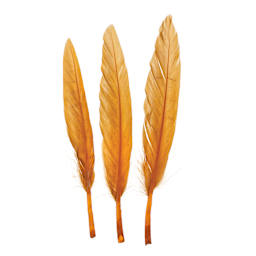 John Bead Duck Quill Feathers - Brown - three feathers