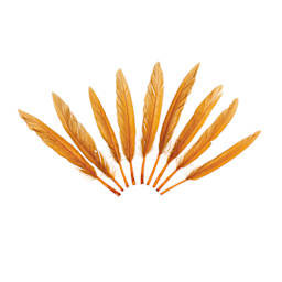 John Bead Duck Quill Feathers - Brown