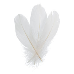 John Bead Goose Feathers - White