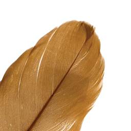 John Bead Goose Feathers - Brown - close-up of feather tip