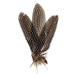 John Bead Guinea Fowl Quill Feathers - White