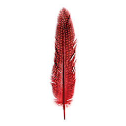 John Bead Guinea Fowl Quill Feathers - Red - single feather