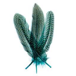 John Bead Guinea Fowl Quill Feathers - Turquoise