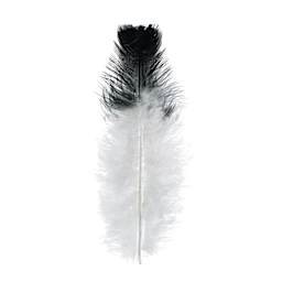 John Bead Marabou Feathers - White and Black - single feather