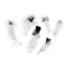 John Bead Marabou Feathers - White and Black