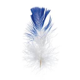John Bead Marabou Feathers - White and Royal Blue - single feather